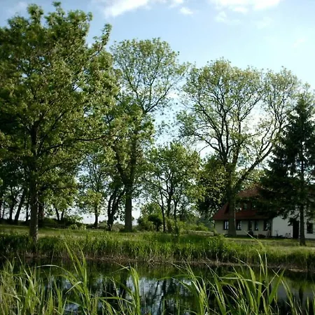 In The House Dreischlaefer