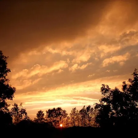 Holiday home In The House Dreischlaefer Dreschvitz